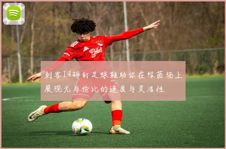 刺客14碎钉足球鞋助你在绿茵场上展现无与伦比的速度与灵活性