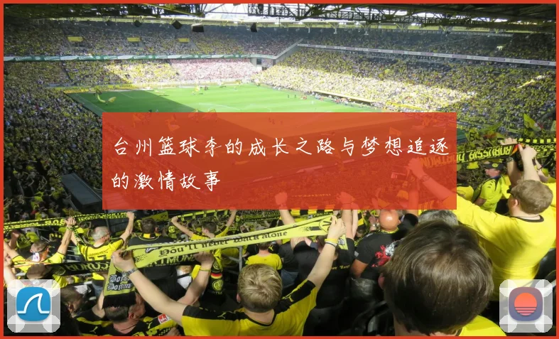 台州篮球李的成长之路与梦想追逐的激情故事