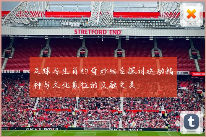 足球与生肖的奇妙结合探讨运动精神与文化象征的交融之美